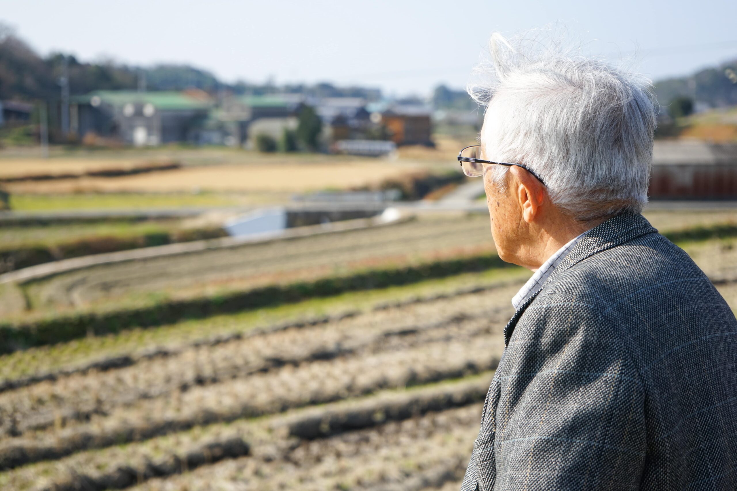 高齢者の1人暮らしについて現状と支援策を解説